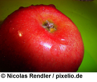 Abnehmen mit der Apfel-Reis-Di�t